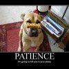 Patience is a virtue, NOT